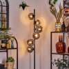Ripoll Lampa stojąca Przydymiony, 6-punktowe