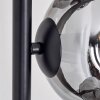 Ripoll Lampa stojąca Przydymiony, 6-punktowe