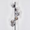 Ripoll Lampa stojąca Przydymiony, 6-punktowe