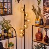 Ripoll Lampa stojąca W kolorze bursztynu, Przezroczysty, 6-punktowe