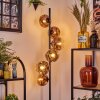 Ripoll Lampa stojąca Przezroczysty, W kolorze miedzi, 6-punktowe
