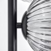Koyoto Lampa stojąca Przezroczysty, Przydymiony, 6-punktowe