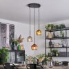Ripoll Lampa wisząca, Kula świetlna, Lampa wisząca Złoty, Przezroczysty, W kolorze miedzi, Przydymiony, 3-punktowe