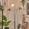 Bassagoda Lampa stojąca Czarny, 3-punktowe
