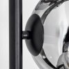 Ripoll Lampa stojąca Chrom, Przezroczysty, Przydymiony, 6-punktowe