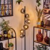 Ripoll Lampa stojąca Chrom, Przezroczysty, Przydymiony, 6-punktowe
