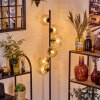 Ripoll Lampa stojąca W kolorze bursztynu, Przezroczysty, 6-punktowe