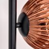 Ripoll Lampa stojąca Przezroczysty, W kolorze miedzi, 6-punktowe