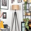 Soungou Lampa stojąca Czarny, 1-punktowy