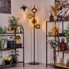 Ripoll Lampa stojąca Złoty, 4-punktowe