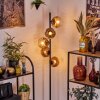 Ripoll lampa stojąca przezroczysty, miedziany, 5-punktowe