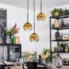 Koyoto Lampa wisząca, Kula świetlna, Lampa wiszącego klastra 30 cm Złoty, Przezroczysty, 3-punktowe