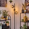 Gastor Lampa stojąca 34 cm W kolorze bursztynu, Przezroczysty, Przydymiony, 3-punktowe