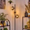 Gastor Lampa stojąca 34 cm W kolorze bursztynu, Przezroczysty, Przydymiony, 3-punktowe