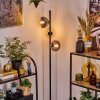 Gastor Lampa stojąca 34 cm W kolorze bursztynu, Przezroczysty, Przydymiony, 3-punktowe