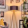 Saladillo Lampa stojąca Ecru, Biały, 1-punktowy