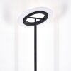 Byrum Lampa stojąca LED Czarny, 1-punktowy, Zmieniacz kolorów
