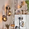 Koyoto Kula świetlna, Lampa ścienna Chrom, Przezroczysty, Przydymiony, 3-punktowe