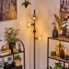 Ripoll Lampa stojąca W kolorze bursztynu, Przezroczysty, 4-punktowe