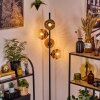 Ripoll Lampa stojąca Przezroczysty, W kolorze miedzi, 4-punktowe