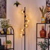 Koyoto Lampa stojąca 31 cm W kolorze bursztynu, Przezroczysty, 6-punktowe