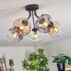 Ripoll lampa sufitowa, kula świetlna bursztynowy, przezroczysty, przydymiony, 5-punktowe