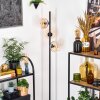 Koyoto Lampa stojąca W kolorze bursztynu, Przezroczysty, 3-punktowe