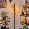Koyoto Lampa stojąca W kolorze bursztynu, Przezroczysty, 3-punktowe