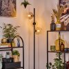 Koyoto Lampa stojąca W kolorze bursztynu, Przezroczysty, 3-punktowe