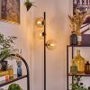 Koyoto Lampa stojąca W kolorze bursztynu, Przezroczysty, 3-punktowe