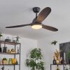Mosstena Lampa sufitowa, lampa z wentylatorem LED Ciemne drewno, Czarny, 1-punktowy, Zdalne sterowanie