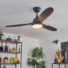 Mosstena Lampa sufitowa, lampa z wentylatorem LED Ciemne drewno, Czarny, 1-punktowy, Zdalne sterowanie