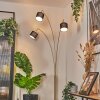 Bassagoda Lampa stojąca Mosiądz, Czarny, 3-punktowe