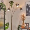 Bassagoda Lampa stojąca Mosiądz, Czarny, 3-punktowe