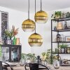 Koyoto Lampa wisząca, Kula świetlna, Lampa wiszącego klastra Złoty, Przezroczysty, 3-punktowe