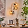 Ripoll Kula świetlna, Lampa ścienna W kolorze bursztynu, Przezroczysty, 3-punktowe