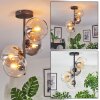 Koyoto Lampa sufitowa, Kula świetlna W kolorze bursztynu, Przezroczysty, Przydymiony, 4-punktowe