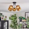 Koyoto lampa sufitowa, kula świetlna złoty, przezroczysty, 5-punktowe