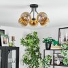 Koyoto lampa sufitowa, kula świetlna złoty, przezroczysty, 5-punktowe