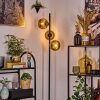 Koyoto Lampa stojąca 31 cm Złoty, 3-punktowe
