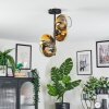 Koyoto lampa sufitowa, kula świetlna złoty, przezroczysty, 4-punktowe