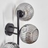 Ripoll Kula świetlna, Lampa ścienna Przydymiony, 3-punktowe