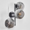 Ripoll Kula świetlna, Lampa ścienna Przydymiony, 3-punktowe