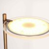 Oświetlenie Steinhauer Turound Lampa stojąca Brązowy, 2-punktowe