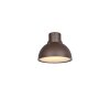 Oświetlenie Trio ELBE Lampa ścienna Rdzawy, 1-punktowy