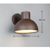 Oświetlenie Trio ELBE Lampa ścienna Rdzawy, 1-punktowy