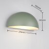 Oświetlenie Trio MAAS Lampa ścienna Zielony, 1-punktowy