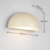 Oświetlenie Trio MAAS Lampa ścienna Beżowy, 1-punktowy