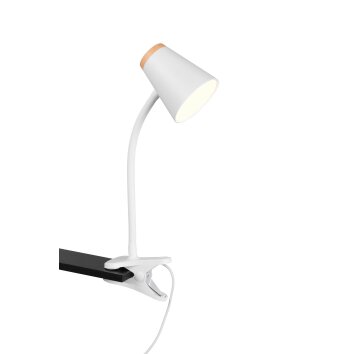 Oświetlenie Reality Pongo lampa z klipsem LED biały, 1-punktowy