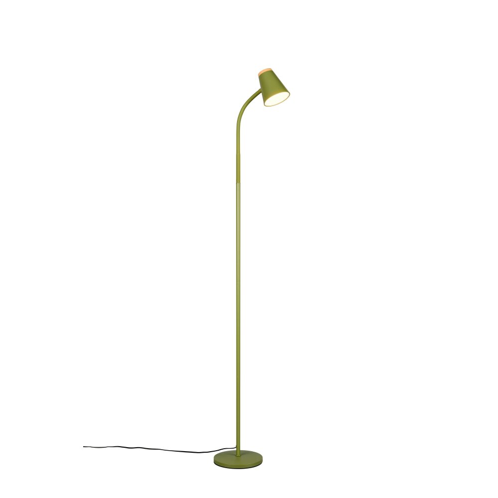 Oświetlenie Reality Pongo Lampa stojąca LED Zielony, 1-punktowy main product photo